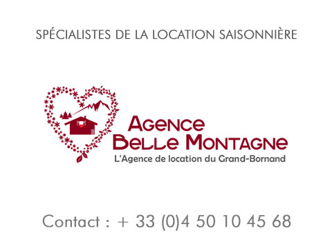 Spécialiste de la location saisonnière, appartement chalet agence immobilière location vacances design arvimedia