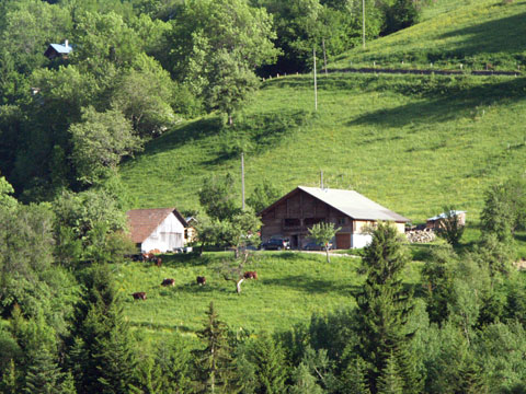 agriculture et élevage en montagne