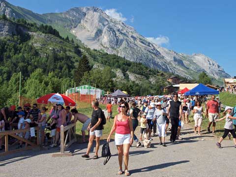 chaque année venez en vacances dans les Alpes en été 